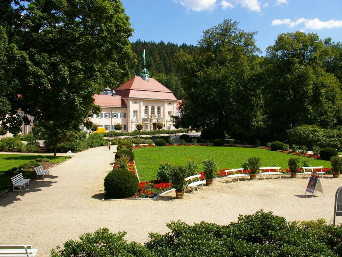 Pension Weisse Rose, Parkplatz, Fruehstueck, Wlan, Zentral Bad Elster Exteriör bild